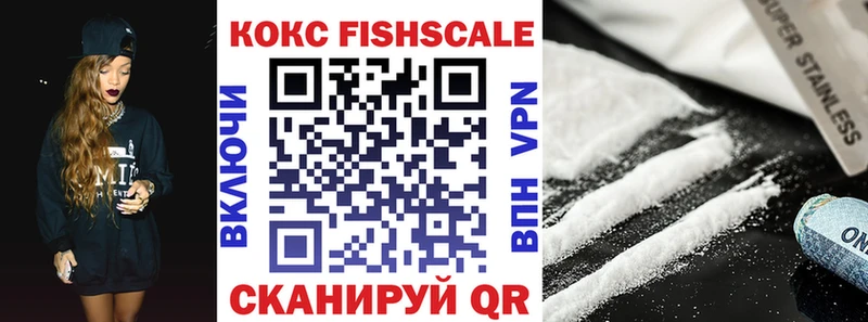 Купить закладки  Копейск  Cocaine FishScale 