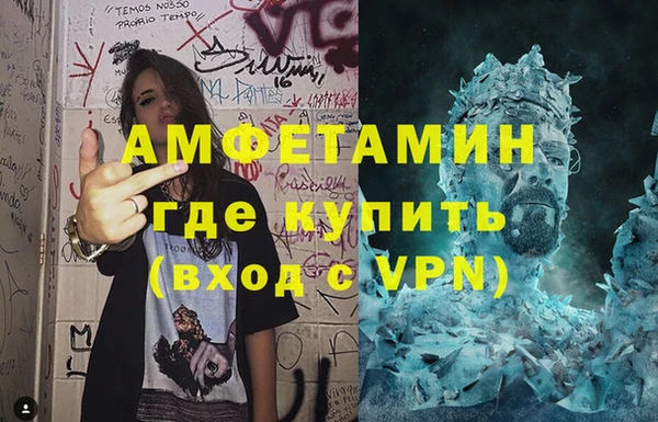 прущие грибы Нефтекумск