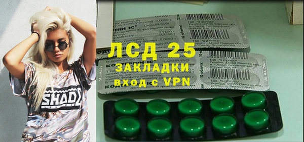 прущие грибы Нефтекумск