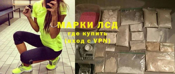 прущие грибы Нефтекумск