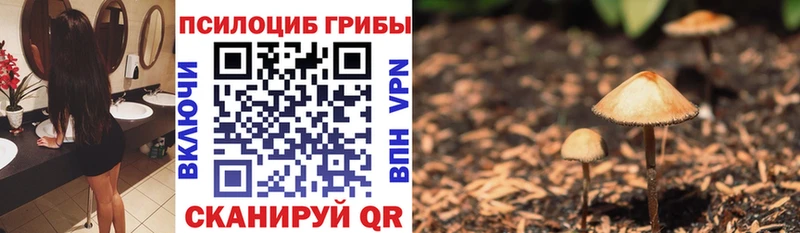Купить где  Копейск  Псилоцибиновые грибы прущие грибы 